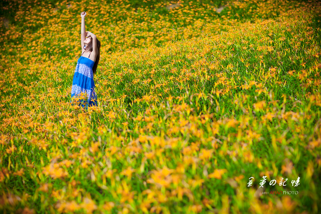 金黃の記憶＠Patty